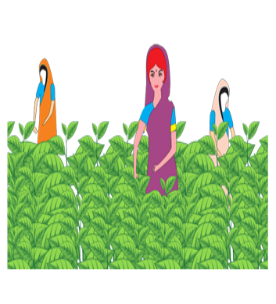 Crop Loans (KCC) image